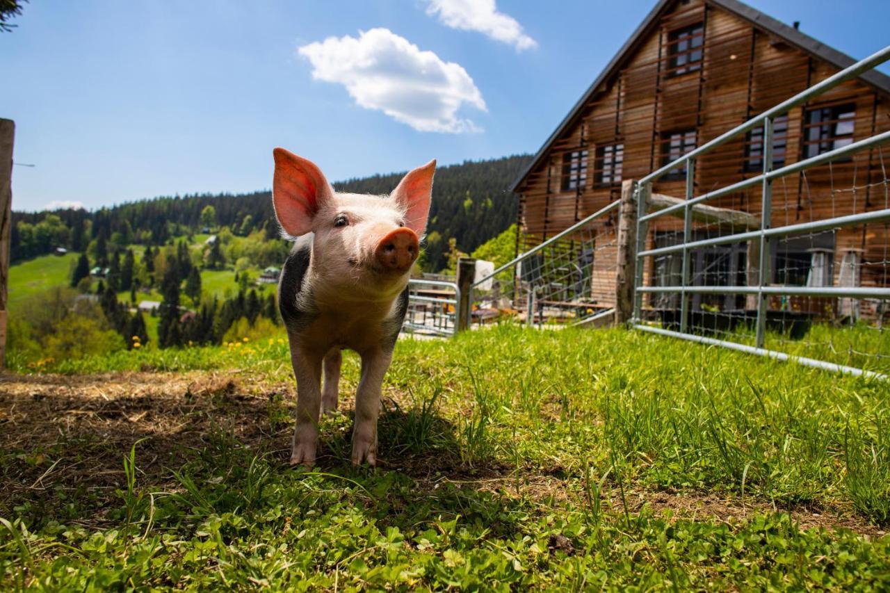 Amenity Hotel&Resort Špindlerův Mlýn Eksteriør bilde